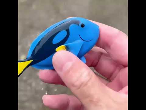 Blue Tang Sand Find – Rinse & Collect!
