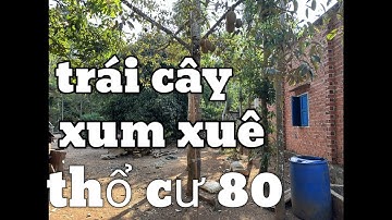 (đã bán) 1000mv vườn trái cây xum xuê thổ cư 80 mà giá chỉ 850 triệu,, Huyện Châu Đức :0933708258