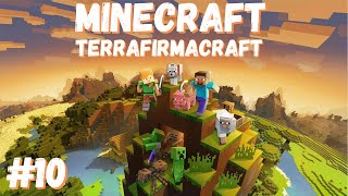 Майнкрафт TerraFirmaCraft | Minecraft TerraFirmaCraft | Часть 10 | Стрим от 19.05.2022