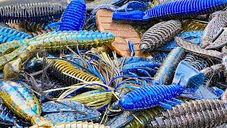 Texas Rigs And Shallow Cover! (Creature Baits And Craws For BIG Bass)