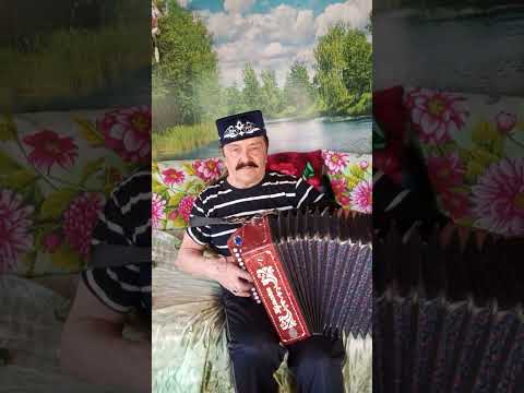 видео: Тал боресе талларда .