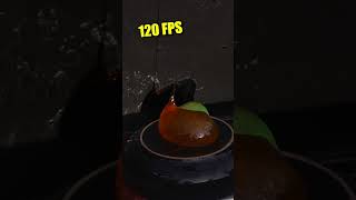 Popping a Balloon of Honey
Follow for more cool stuff!
#natefromtheinternet #nfti #science #diy #fyp #experiment #balloon #honey Popping a Balloon of Honey