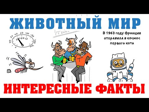 ИНТЕРЕСНЫЕ ФАКТЫ из мира ЖИВОТНЫХ #мультики #юмор #факты #животныймир #животные #соцсети