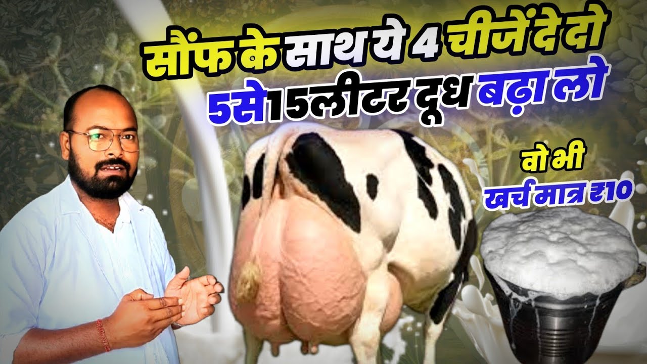 सौंफ के साथ ये 👉चीजें दें दूध दोगुना कर लें। Milk Booster