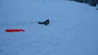 Epic Sledding wipeout