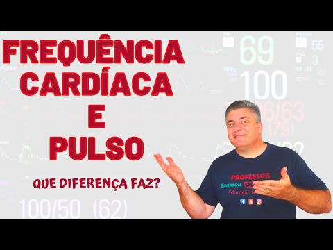 Vídeo: O que é único nos chitons em comparação com outros moluscos?