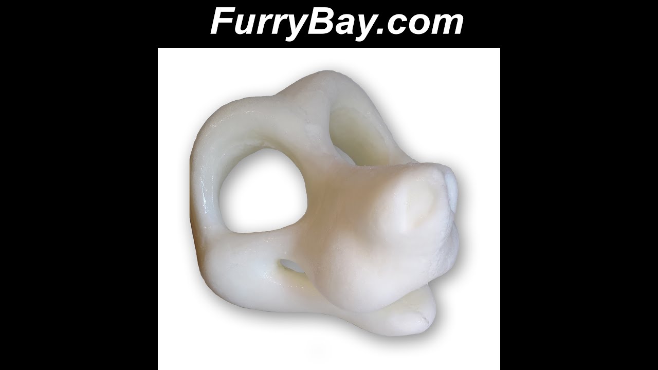 Max the Guinea Pig, Furry Fursuit Foam Full Head Base for Fursuiting, For  Furries and Cosplay - DIY - fhb15 