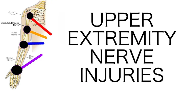 Upper Extremity Nerve Injuries - DayDayNews