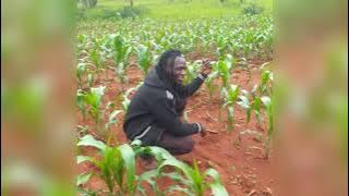 JIGANZA MASHIMBA UJUMBA WA TALE OFFICIAL AUDIO BY MBASHA STUDIO 2023