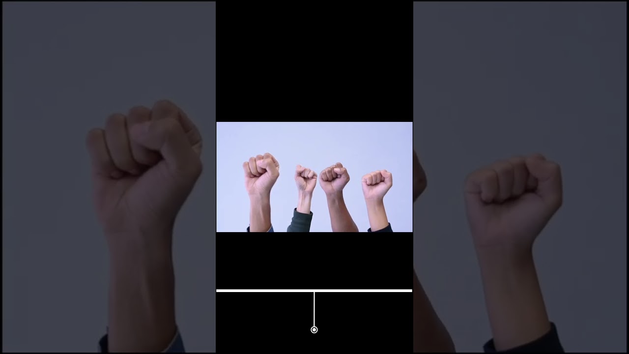 Share Market for Beginners 