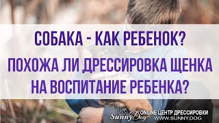 Собака - как ребенок? Похожа ли дрессировка щенка на воспитание ребенка? Собака - как ребенок? Похожа ли дрессировка щенка на воспитание ребенка?