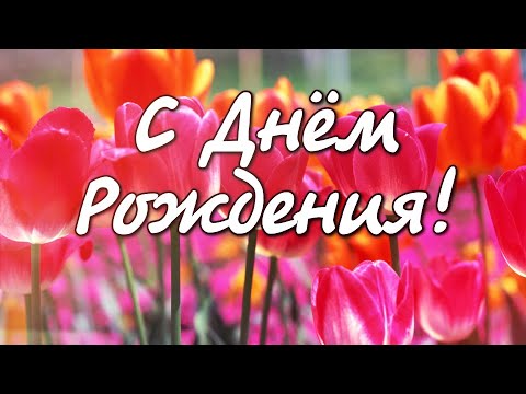 Видео: Красивое поздравление с днем рождения !