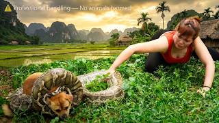 Celebrity 72 Hours TRAPPED 😨 Giant Python Strikes on Farm — Brave Girl Fights Back to Save Dog! Wealth