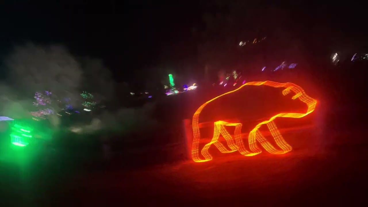 Wild Lights  Train at Wildlife park