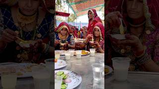 Sikar aali jatniya #rajasthani#shekhawati#tranding#marwadi#viral#ytshorts#funny#sorts#folk#jaatni#lv