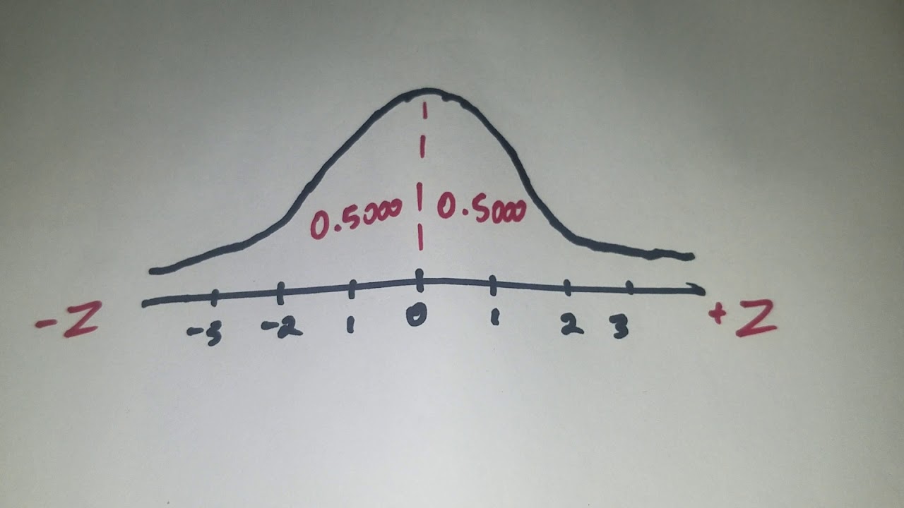 Crew's Class - Introduction To Standard Normal Distribution - YouTube