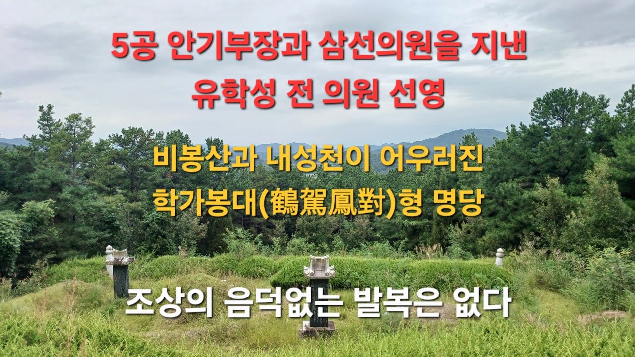 (상담:010 8576 3554)사성장군과 안기부장 그리고 삼선의원을 지낸 유학성 전 의원의 선영을 찾아가 봅니다..비봉산과 내성천이 어우러진 국세가 만들어낸 명당에 모신..