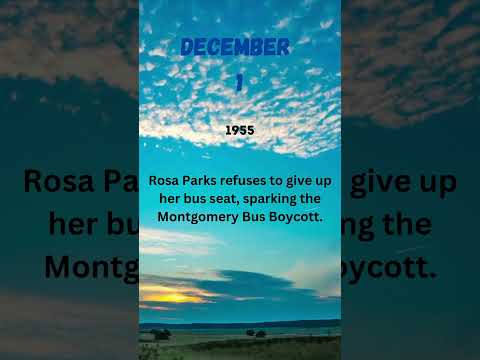 'Rosa Parks and