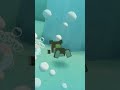My Super Bear game Bear