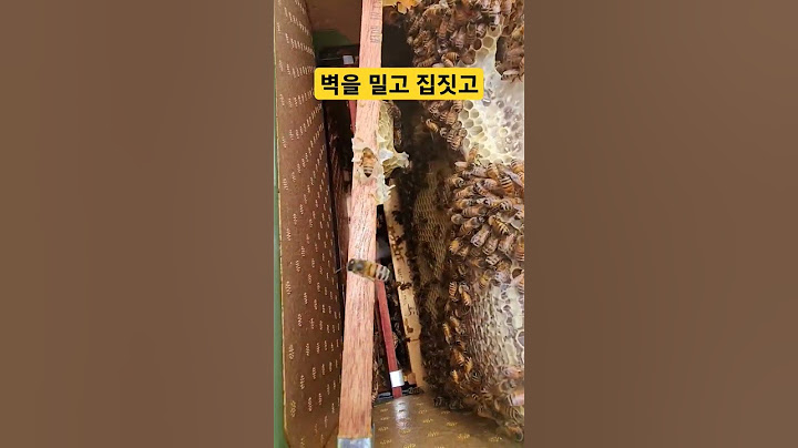 벽을 밀어내고 집짓고 꿀채운 꿀벌