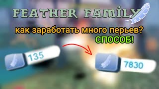 🪶Как заработать много перьев у Feather family?🦜 (Способ!✅) //Roblox feather family//