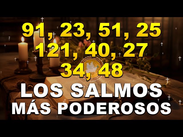 LOS SALMOS MÁS PODEROSOS 91, 23, 51, 25, 121, 40, 27, 34, 48 class=