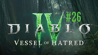 : [NC]       Diablo IV: Vessel of Hatred #26
