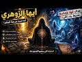 أيها الزوهري بوابة الحقيقة ف تحت هل أنت مستعد الحقيقة المرعبة أنت مراقب من قوى لا تراها