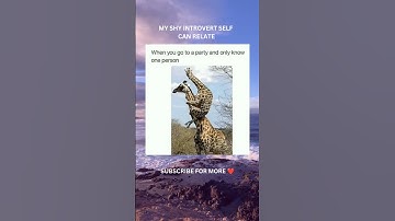 Introverts party meme #introvert #memes #giraffe #friend #party #wildlife #introvert #extrovert #fun