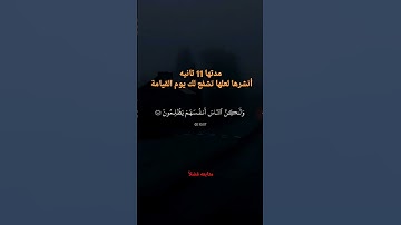 #تلاوة_خاشعة #تلاوة_مؤثرة #4k #لايك  متابعة فضلا انشرها لعلها تشفع لك يوم الحساب 😭🥺😔🤲 ادعولي اتوفق