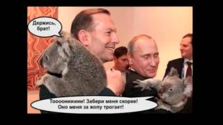 Путин и коала, или мне пора на работу....