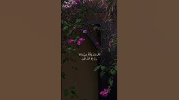 القران الكريم بصوت جميل راحه نفسيه #اكسبلور #السعودية #راحة_نفسية #قرآن #لايك #explore