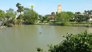 Galaxy s7 Optical Image Stabilization test