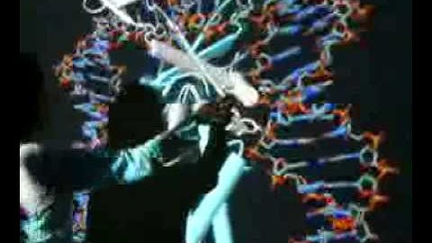 Molecular Playground