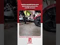 Kedinin, kendisini kovalayan köpeklerden kaçmak için verdiği mücadele!