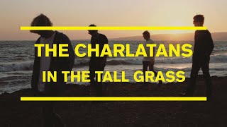 Video thumbnail of "The Charlatans - In The Tall Grass (Official Visualiser)"