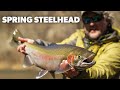 Spring Steelhead & Mending Lessons