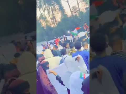 29 August 2022 Murule Flag Coming Soon Trendingshorts Shortvideo Somalitiktok Foryou Foryoupage 29 August 2022 Murule Flag Coming Soon Trendingshorts Shortvideo Somalitiktok Foryou Foryoupage