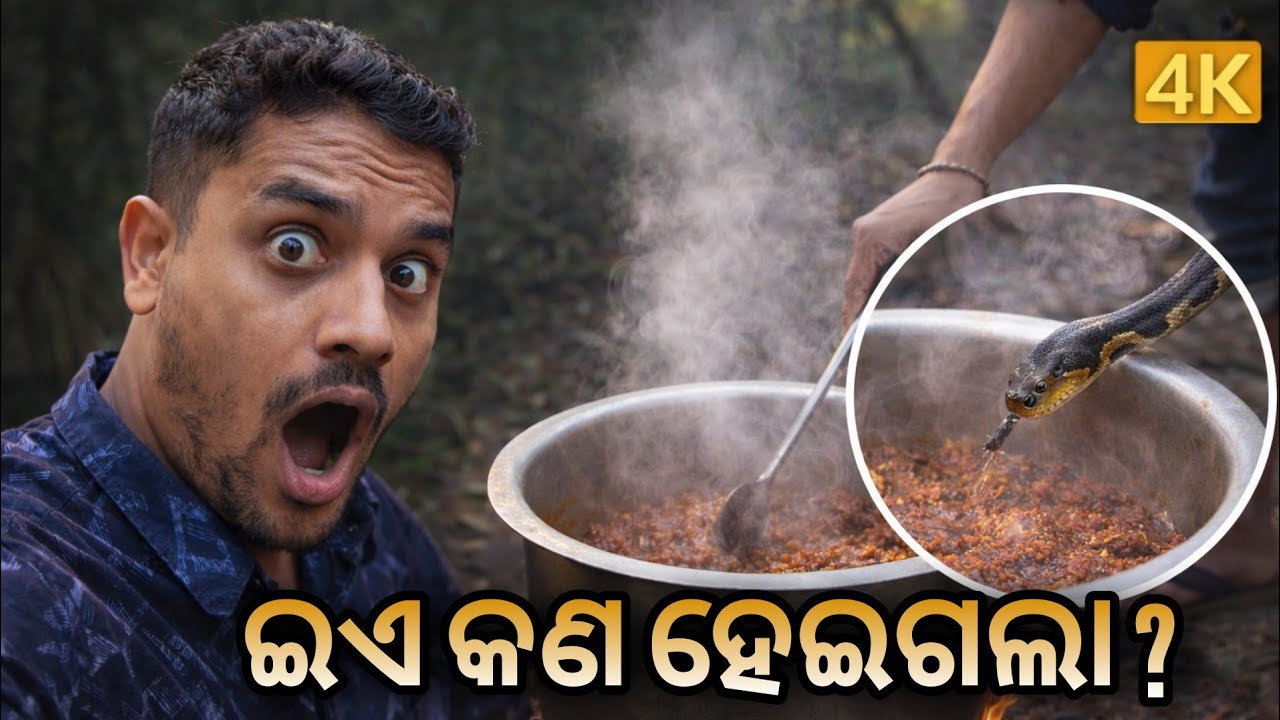 ଜଙ୍ଗଲ ଭିତରେ ଏମିତି ରାନ୍ଧଣା 😱 | ଶେଷରେ କଣ ହେଲା ? | Odia Jungle Cooking Vlog | Funny Sarathi