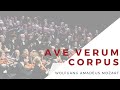 Ave verum corpus k 618 by wa mozart  the tallahassee community chorus