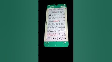 سورة المائدة الآية 27-29 سعد الغامدي