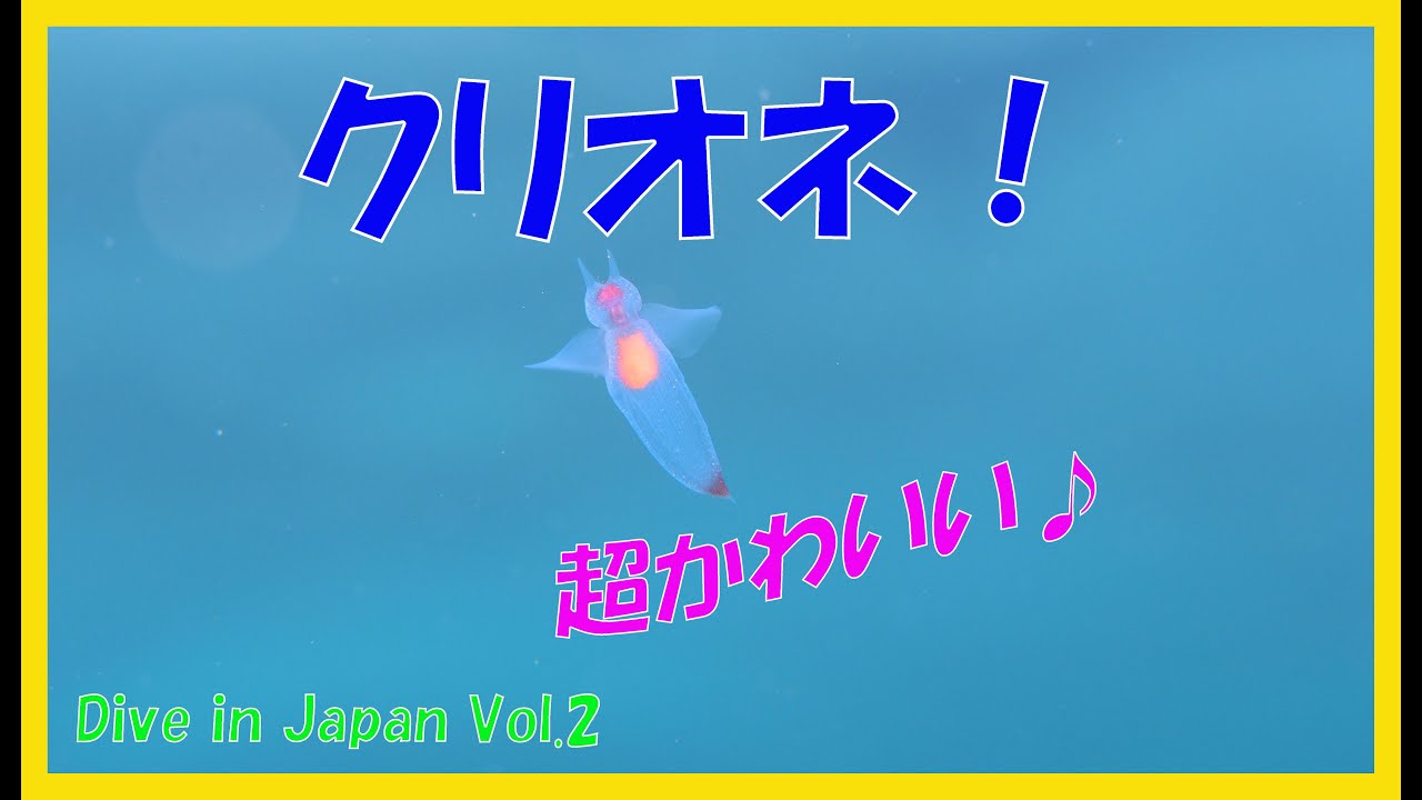 流氷の天使クリオネに出会った～ Dive in Japan! Vol.2 北海道 - YouTube