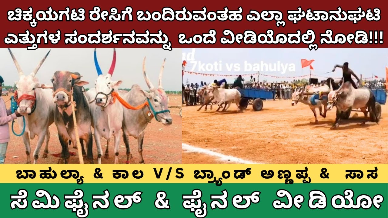 ಚಿಕ್ಕಯಗಟಿ ರೇಸಿಗೆ ಬಂದಿರುವ ಎಲ್ಲಾ ಘಟಾನುಘಟಿ ಎತ್ತುಗಳ ಸಂದರ್ಶನವನ್ನು ಒಂದೇವೀಡಿಯೊದಲ್ಲಿ ನೋಡಿ! ಫೈನಲ್ ವಿಜೇತರುಯಾರು