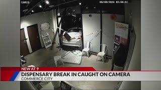 'Their mission is to destroy': video shows thieves use car to break into Commerce City dispensary
