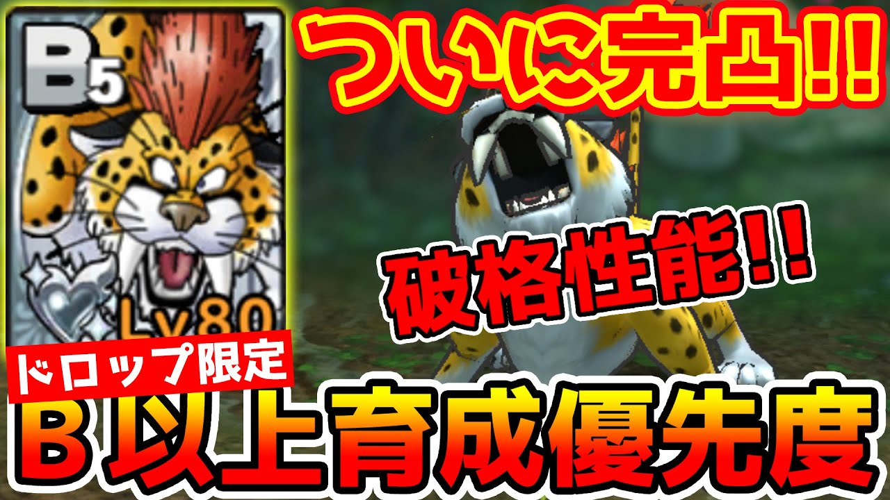 ドラクエタクト Bランクの恐ろしいモンスターが完成してしまった件について 31 Dqt Youtube ドラクエタクト Bランクの恐ろしいモンスターが完成してしまった件について 31 Dqt Youtube