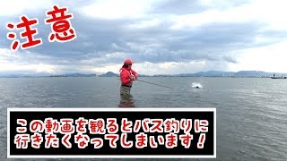 【観覧注意】ふつうこんなに釣れません！【バブルネイル】