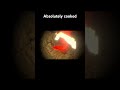 Absolutely cooked #shorts #viralshorts #vr #scary #funnyshorts #monkey #ogfunmonkehorror