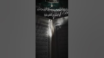 ياسر الدوسري من سورة القصص ودخل على حين غفلة من أهلها #quran #yasseraldossary #ياسر_الدوسري #قرآن
