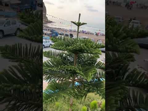   شاطئ البحيرة     باب العسة ندرومة   البحيرة ندرومة