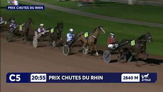 Vidéo de la course PMU PRIX CHUTES DU RHIN